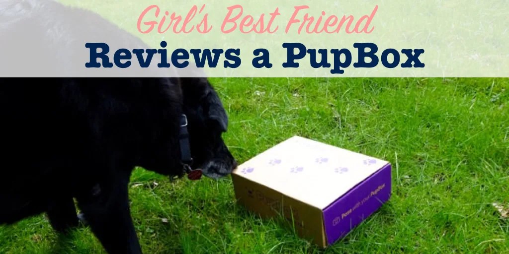 PupBox Review Dog Toys and Treats Single Girl's DIY