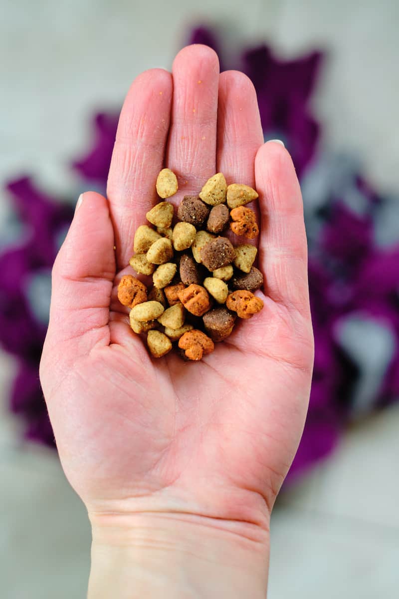 DIY Snuffle Mat for Dogs (3 Easy Steps) Single Girl's DIY