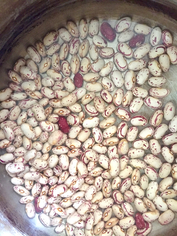 Quick Soak Beans in an Hour • Single Serving Chef