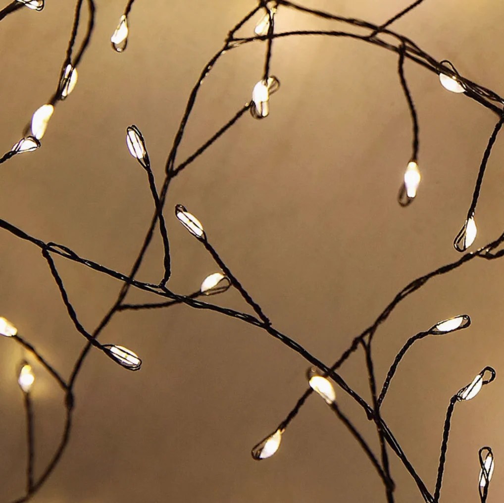 Christmas Tree Lights LifestyleSingSeeSoon