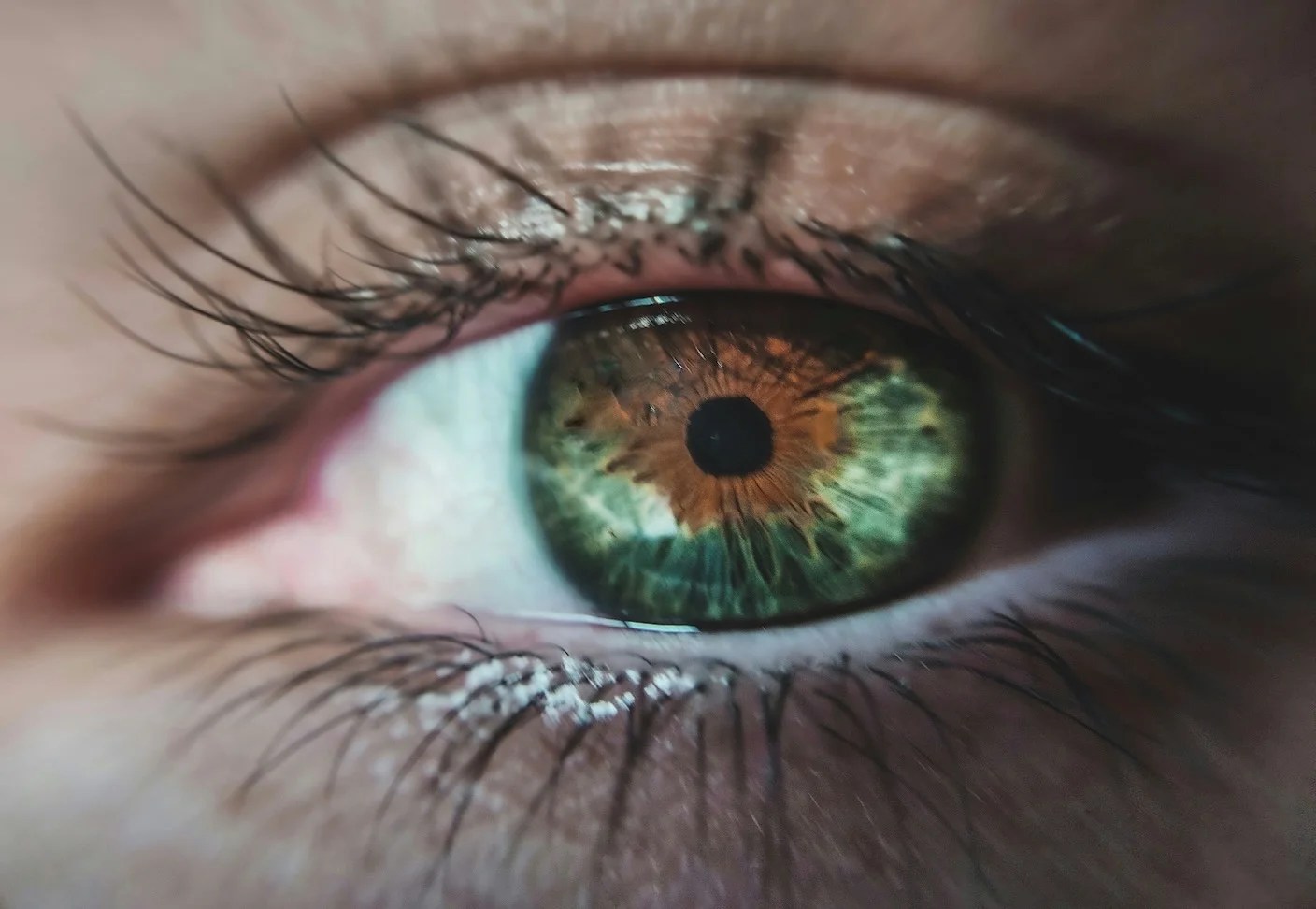 These Contact Lenses Give People Superhuman Sight These Contact Lenses Give People Superhuman Sight