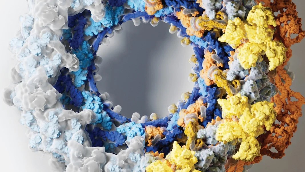 In Its Greatest Biology Feat Yet, AI Unlocks the Complex Proteins