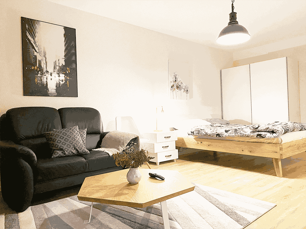 Beautiful 1.5 Rooms Studio Apartment Zurich Zone 10 ULS 365
