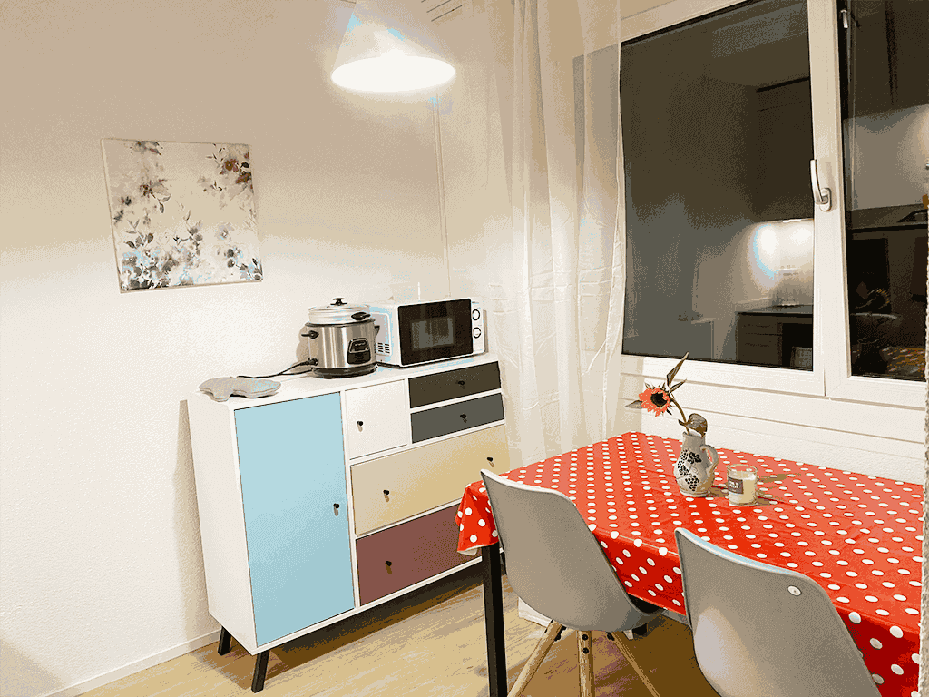Beautiful 1.5 Rooms Studio Apartment Zurich Zone 10 ULS 365