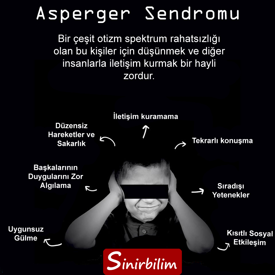 Asperger Sendromu Nedir? Sinirbilim