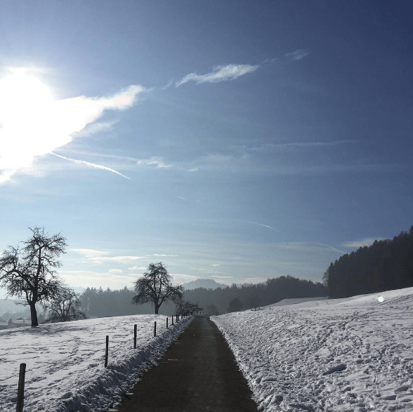 Der Frühling kann kommen Sinnhalt