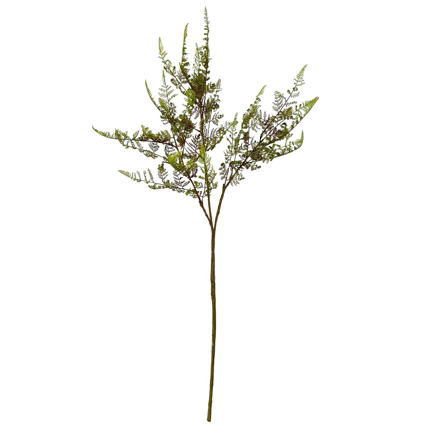 Artificial Cheilanthes Tenuifolia Branch Artificial Flower FactoryArtificial Flower Supplier