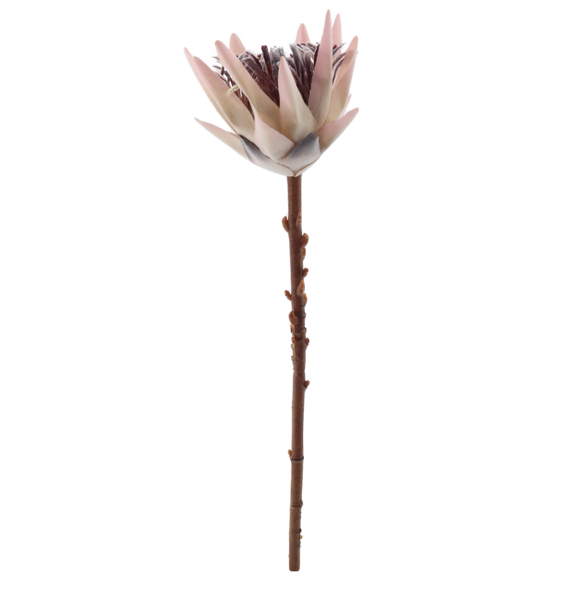 Faux Protea Spray Rust Artificial Flower FactoryArtificial Flower