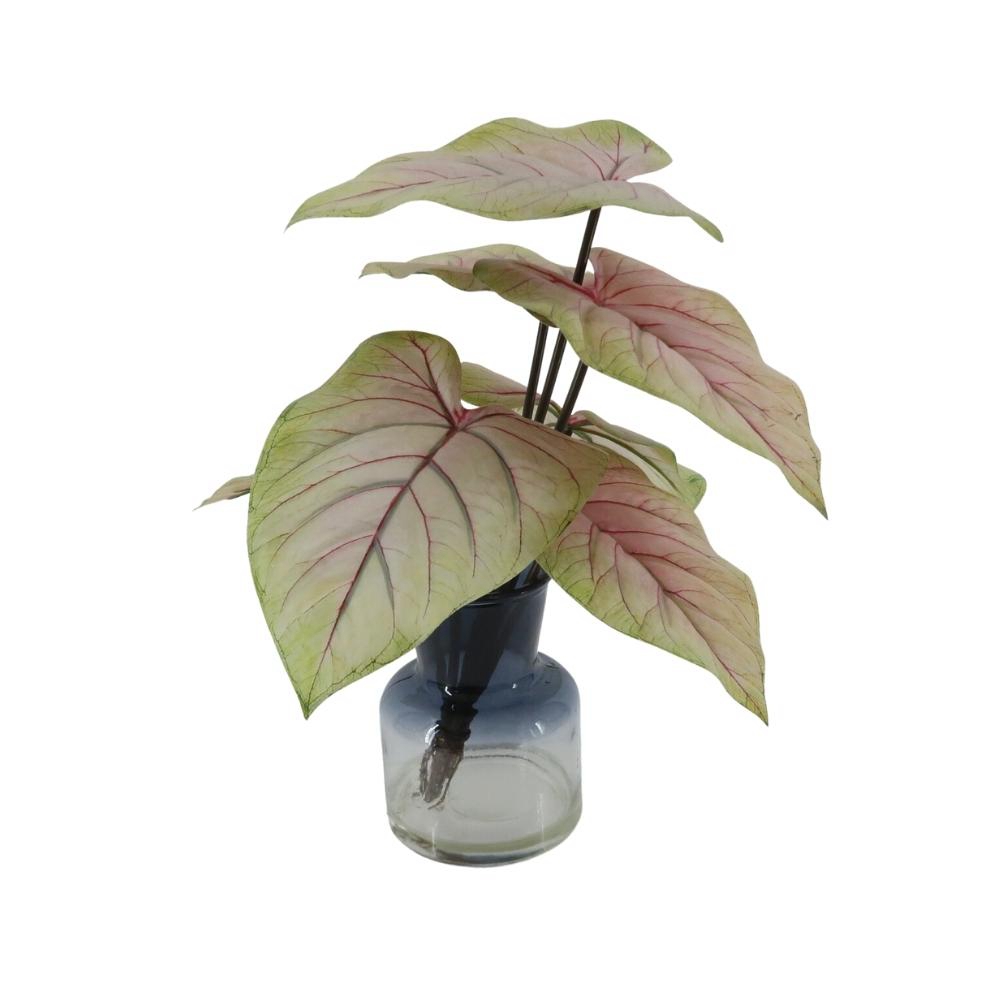 Artificial Caladium Plant Fixed in Glass Bottle Artificial Flowers
