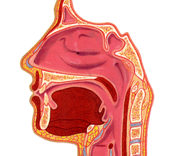 Sinus_2 - Sinus Cleanser