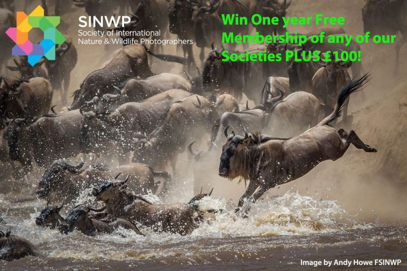 Nature in Action Photography Competition