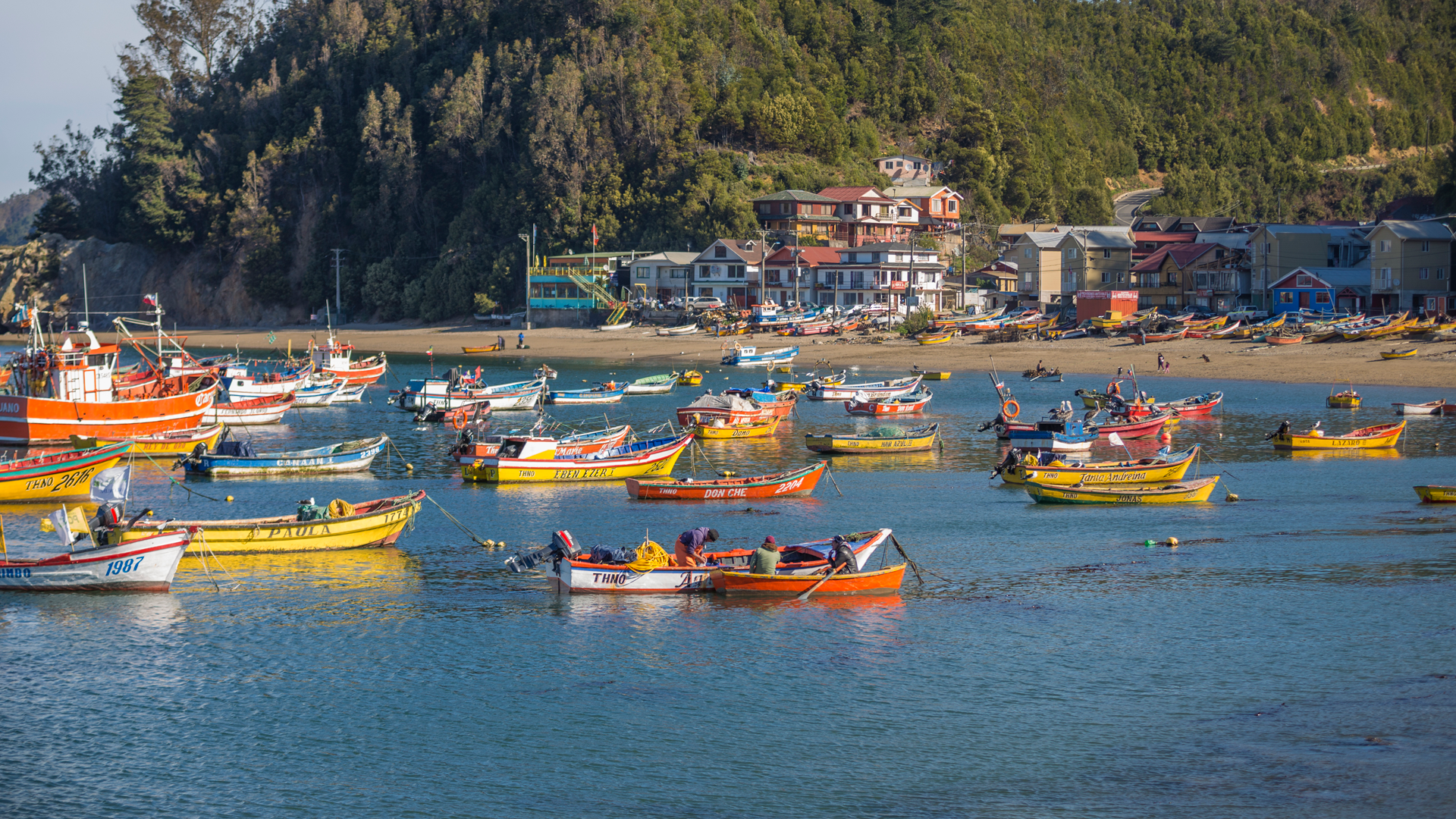 Caleta Tumbes SIOP 2018