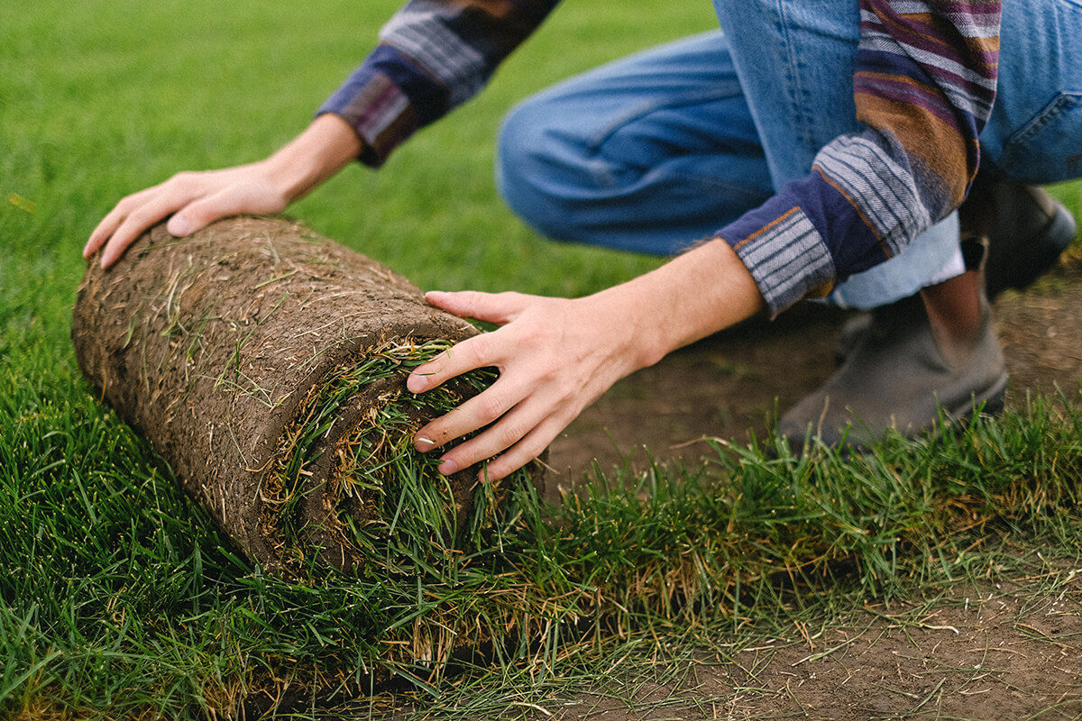 Sod Installation Service Area & Farm Locations in the Tristate IA Area