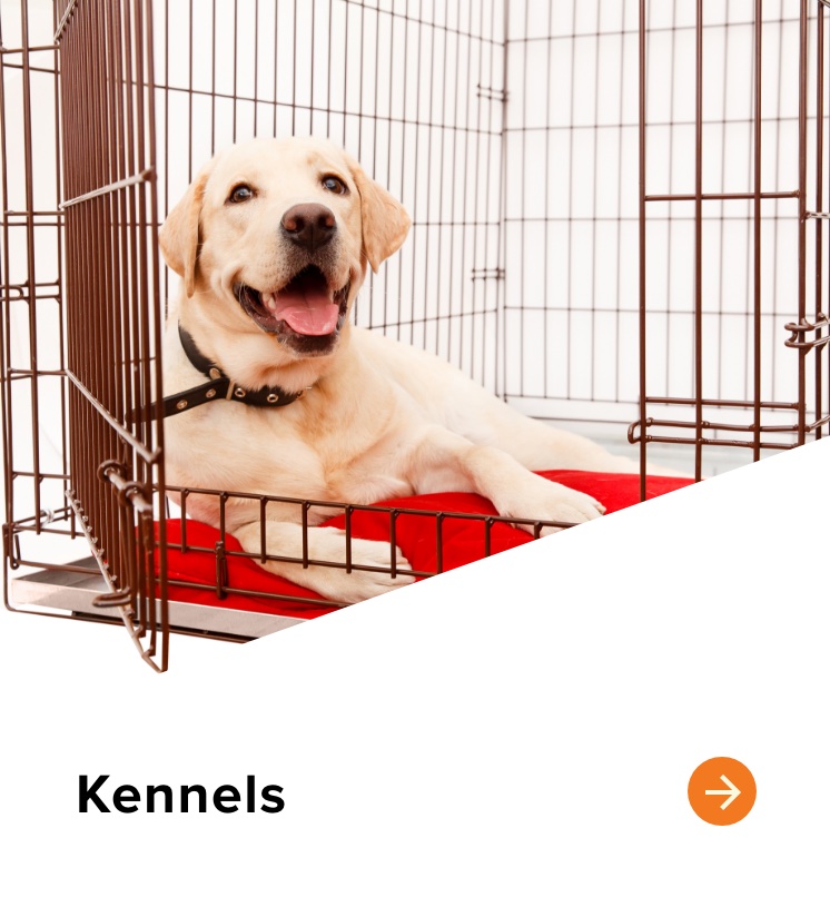 Dogs Health Information Sioux Nation Pet Clinic Sioux Falls, SD