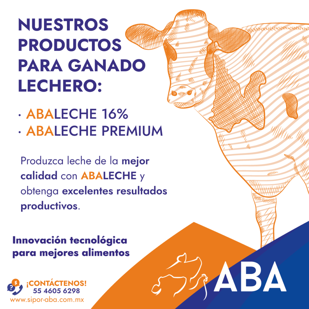 Alimento para Ganado Bovino de Engorda Servicios e Insumos para la