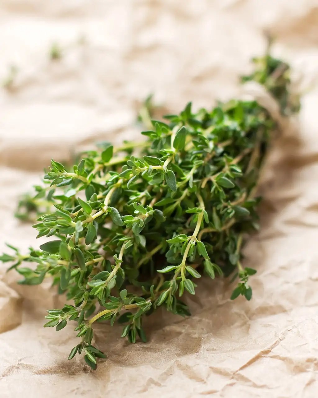 Thyme Simple Syrup Recipe • Sips From Scripts