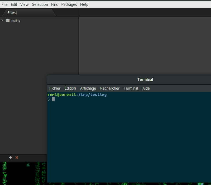 generateswapgenerator Generate your own ESNext/StandardJS/UnitTest