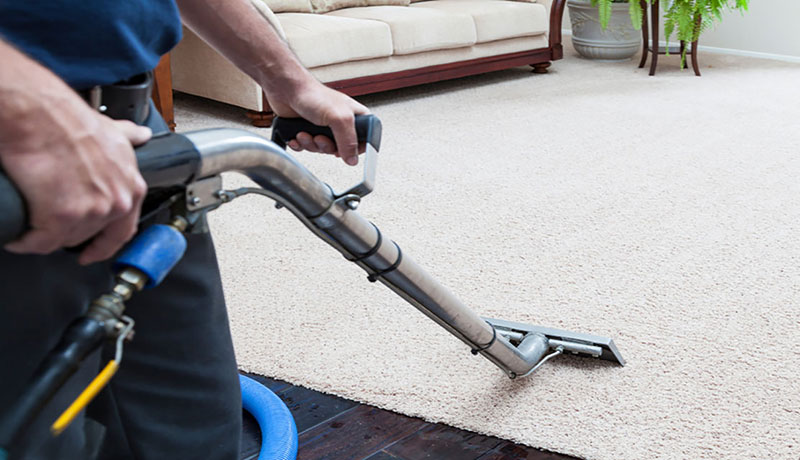 Hiring a Professional Carpet Cleaner to Help with Spring