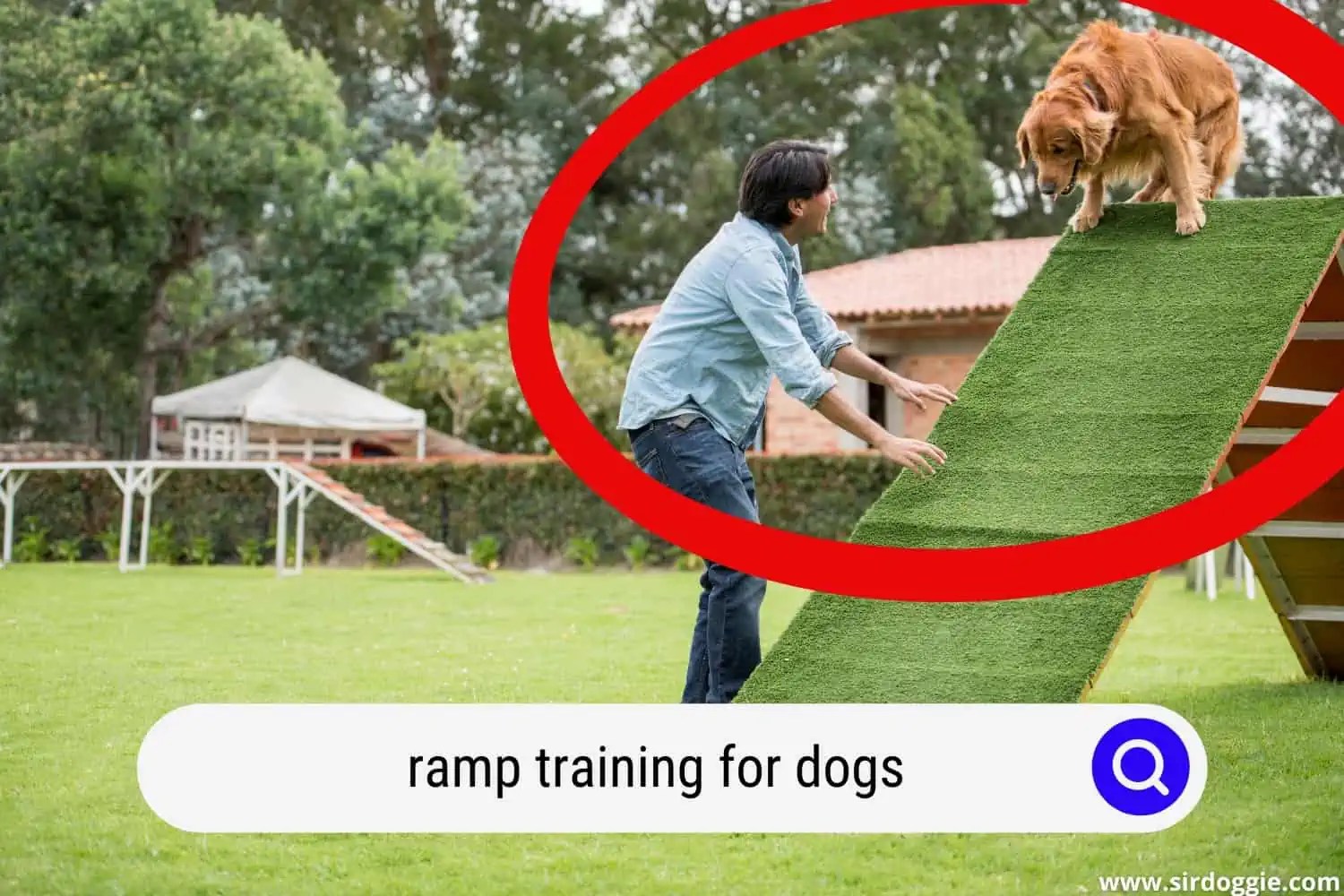 Ramp Training For Dogs Made Easy With These 4 Tips