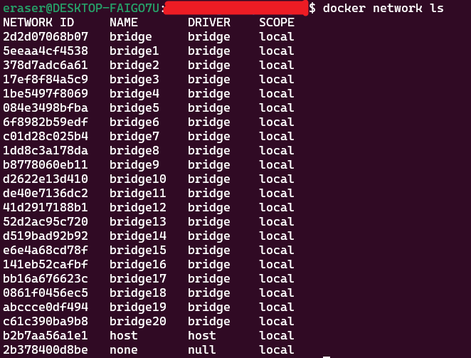 [Docker] Docker Bridge Network 사용 시 IP 충돌 1. 문제 Eraser’s StudyLog