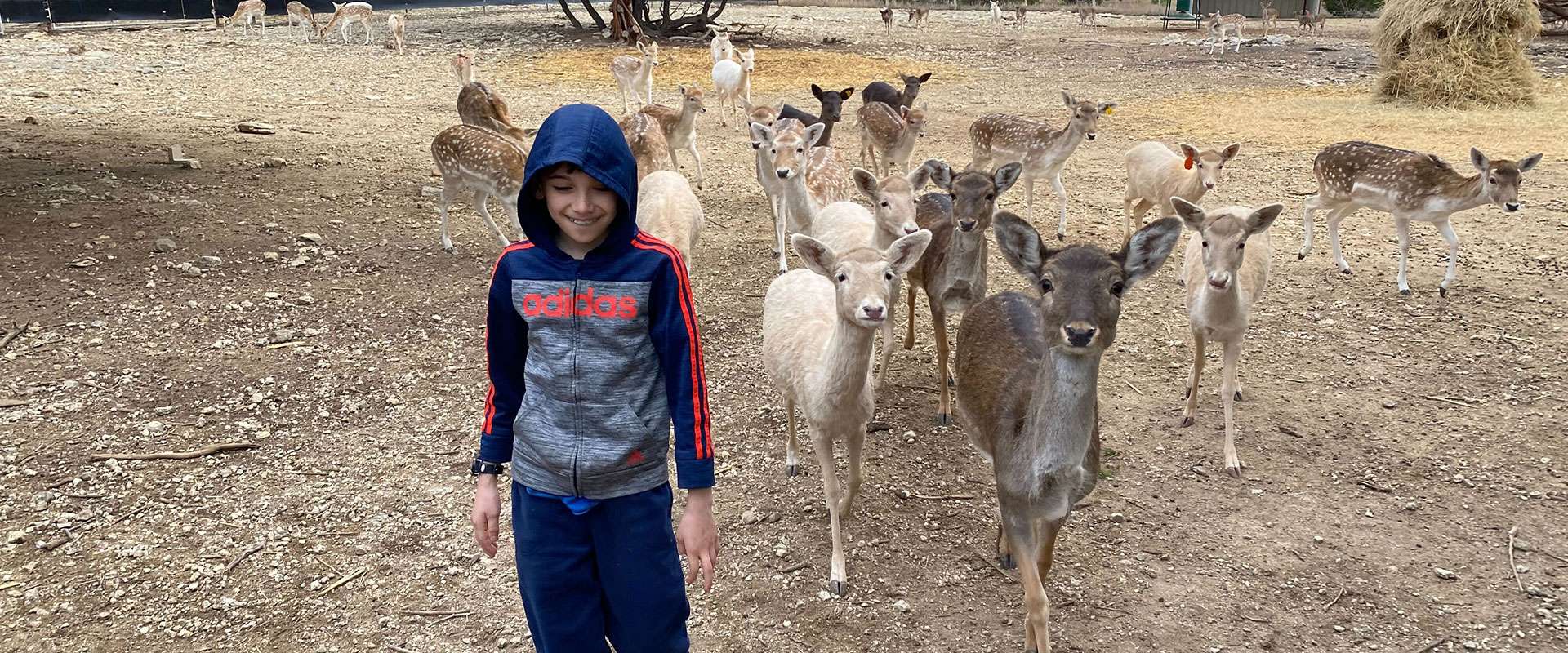 Exotics For Sale in Texas We Buy and Sell Exotics Sisco D Trapping