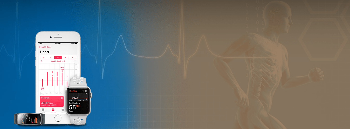 Sports Training Software Services SISGAIN