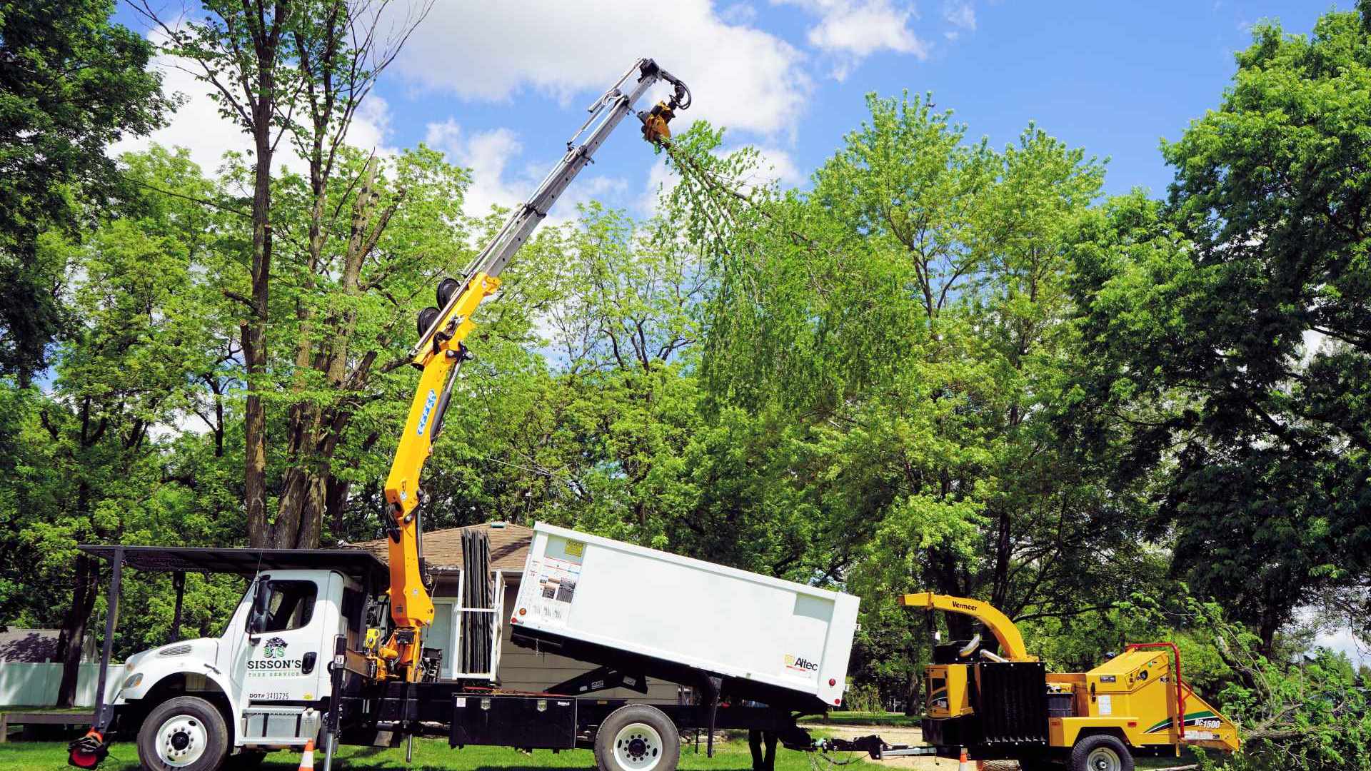 Home Sisson’s Tree Service