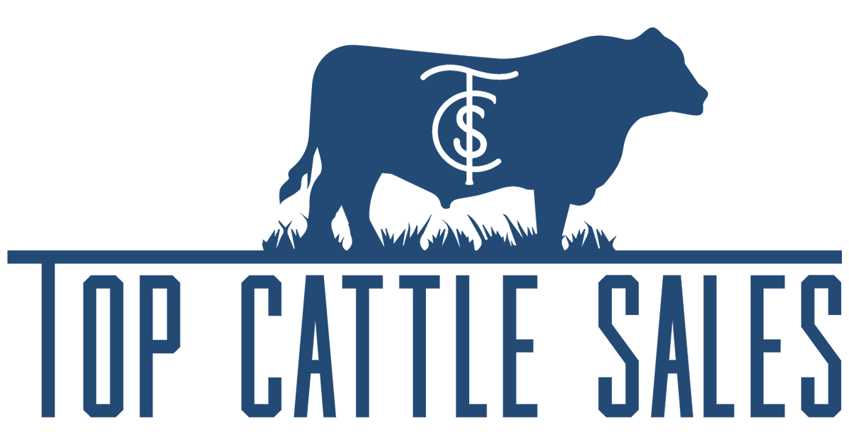 Top Cattle Sales // Sell and Buy Cattle Online