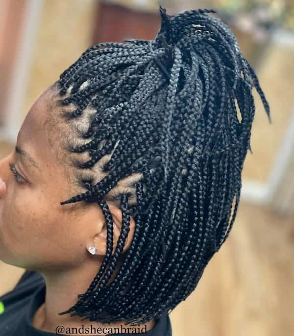 15 Best Pixie Braids Hairstyles Ideas