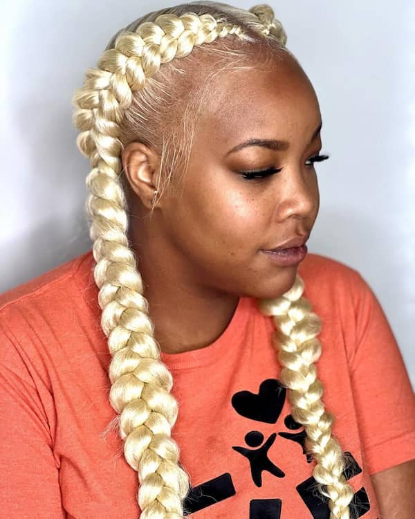 16 Two Braids Styles Ideas to Try Now