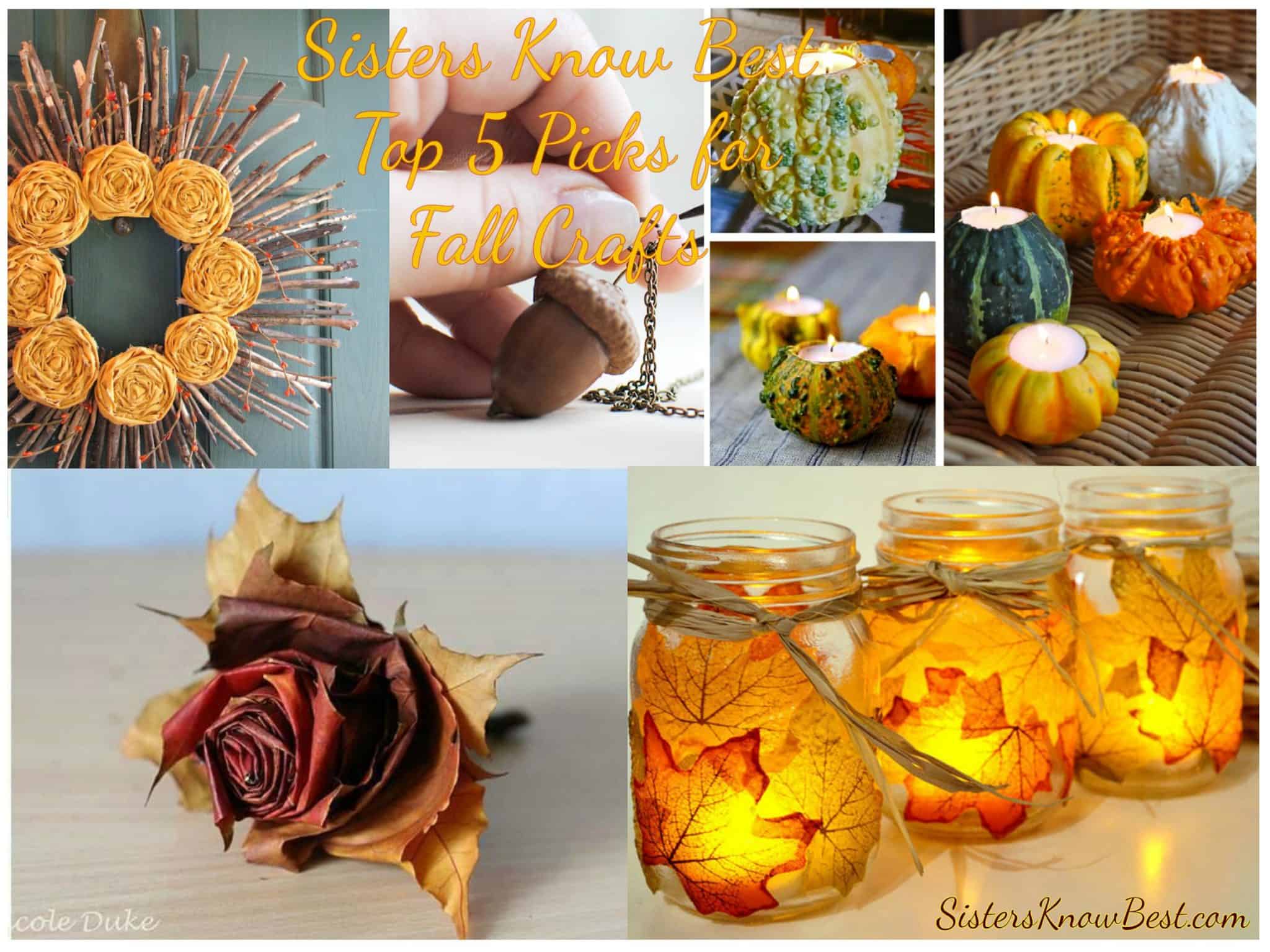 700 Fall Ideas in 2022 fall crafts, fall diy, diy fall pinterest.ca