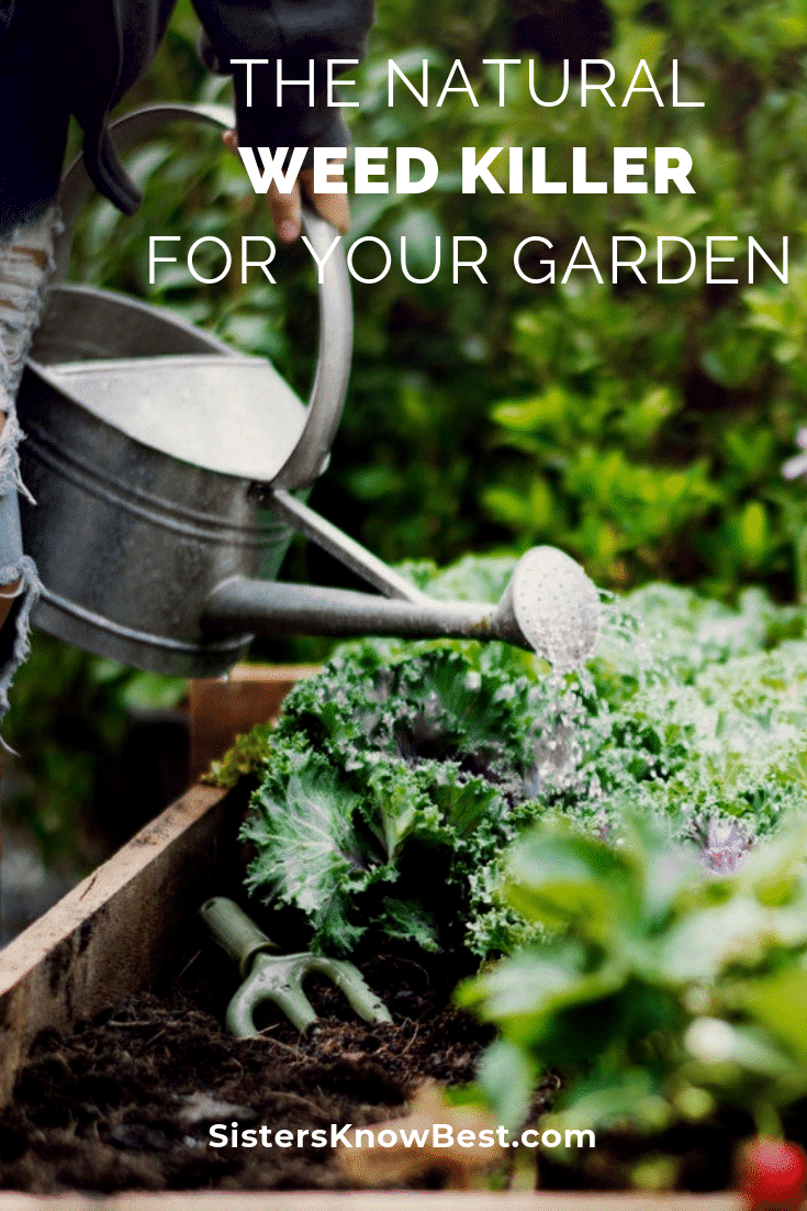 Natural Weed Killer For Your Garden Sisters Know Best