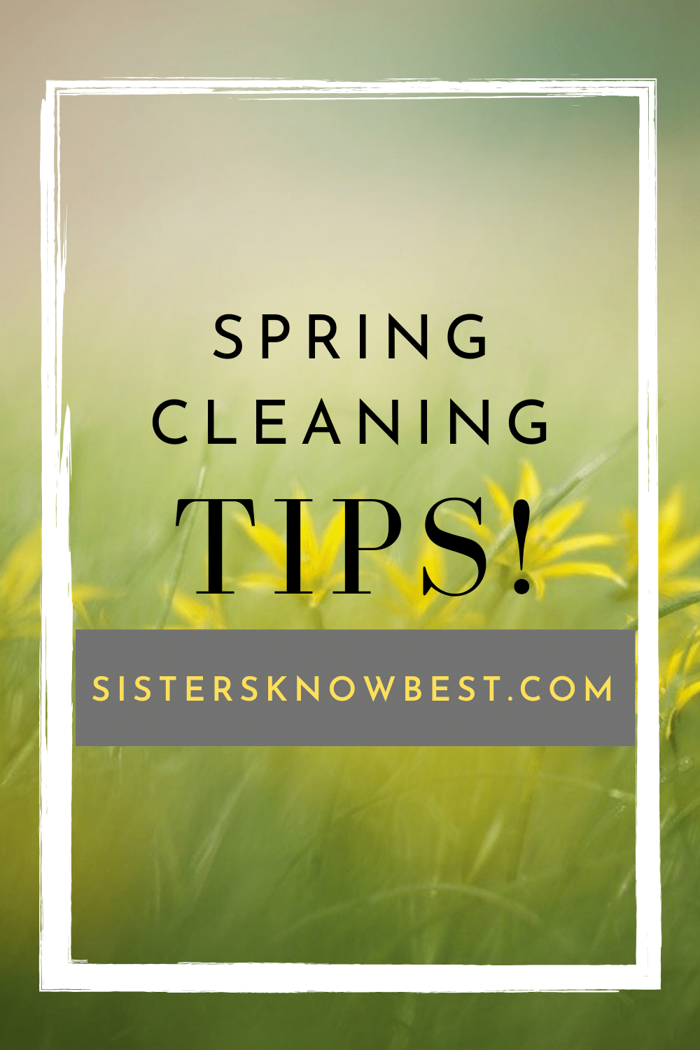 Spring Cleaning Tips Sisters Know Best