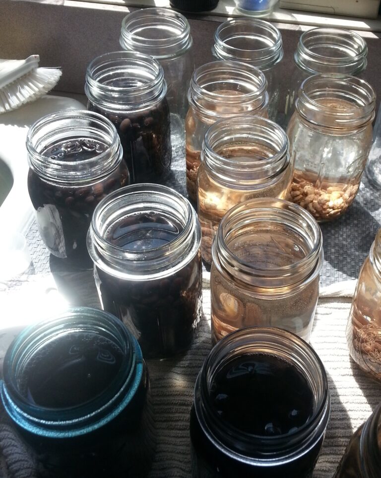 Cooking dried beans is easy and much cheaper. Sisters with Stuff