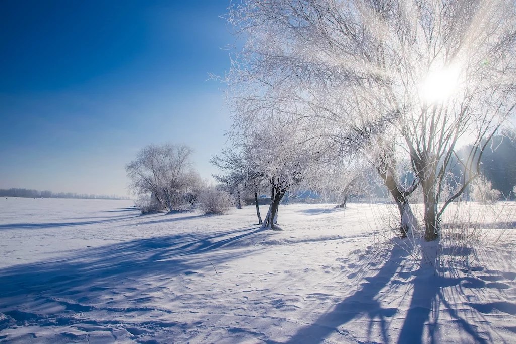 Tips for Preventing Paint from Freezing During Winter SISU Painting