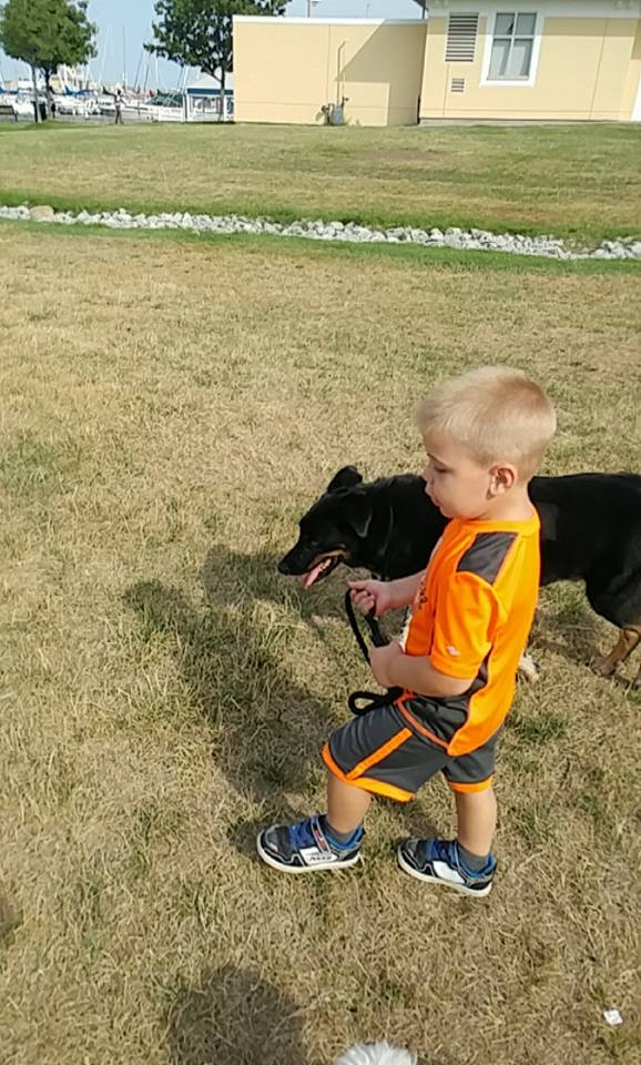Dog Training Mississauga Sit Happens Dog Training