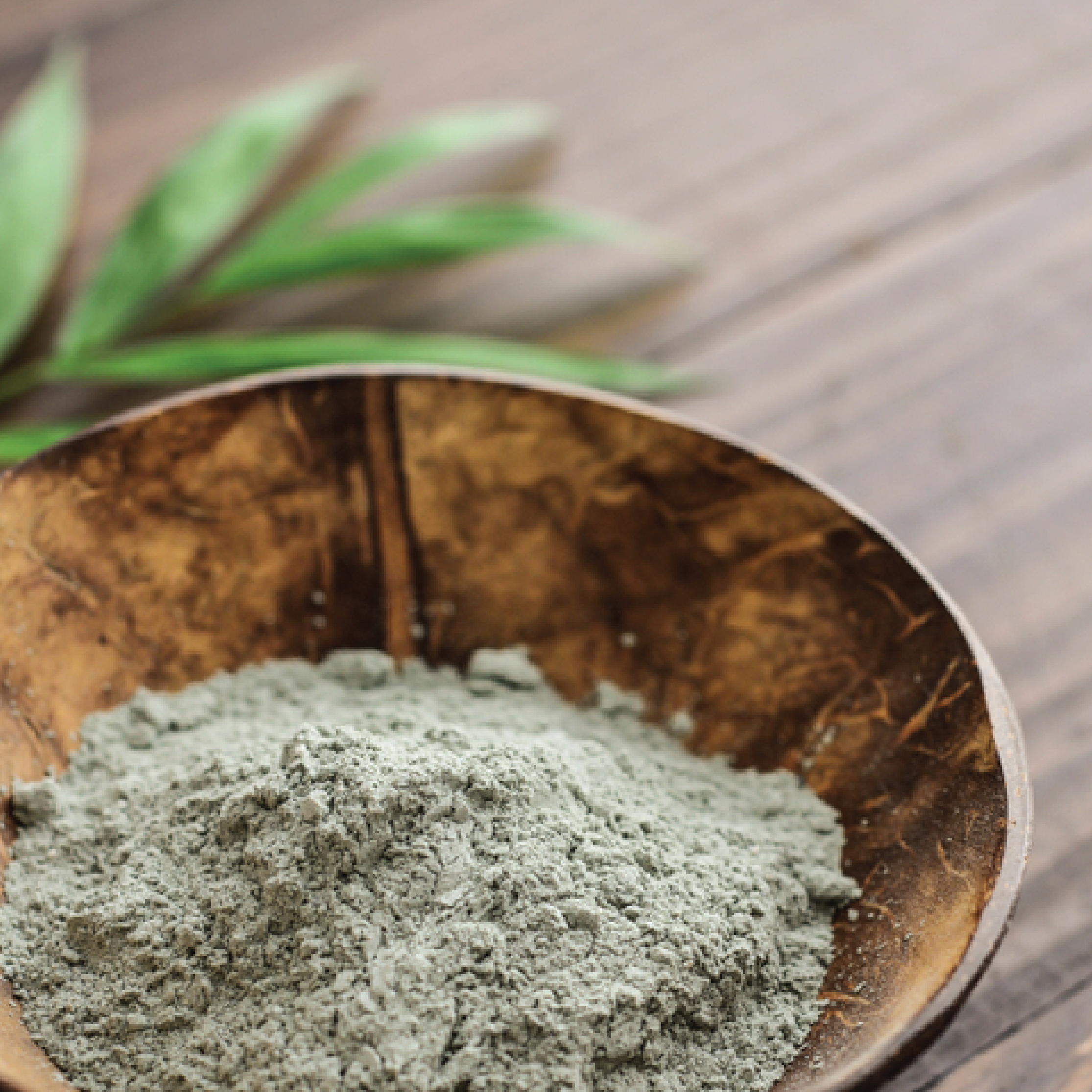 What Olive Green Clay Really Does for Your Skin Grounded Sage