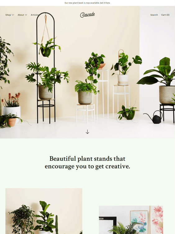 Fresh Shopify Themes For Selling House Plants And Succulents Site Bloom