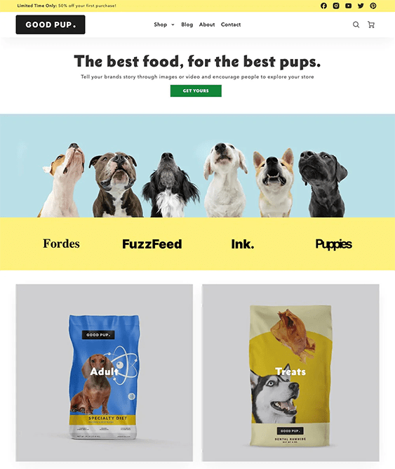 How To Build An Online Pet Store With Shopify Site Bloom