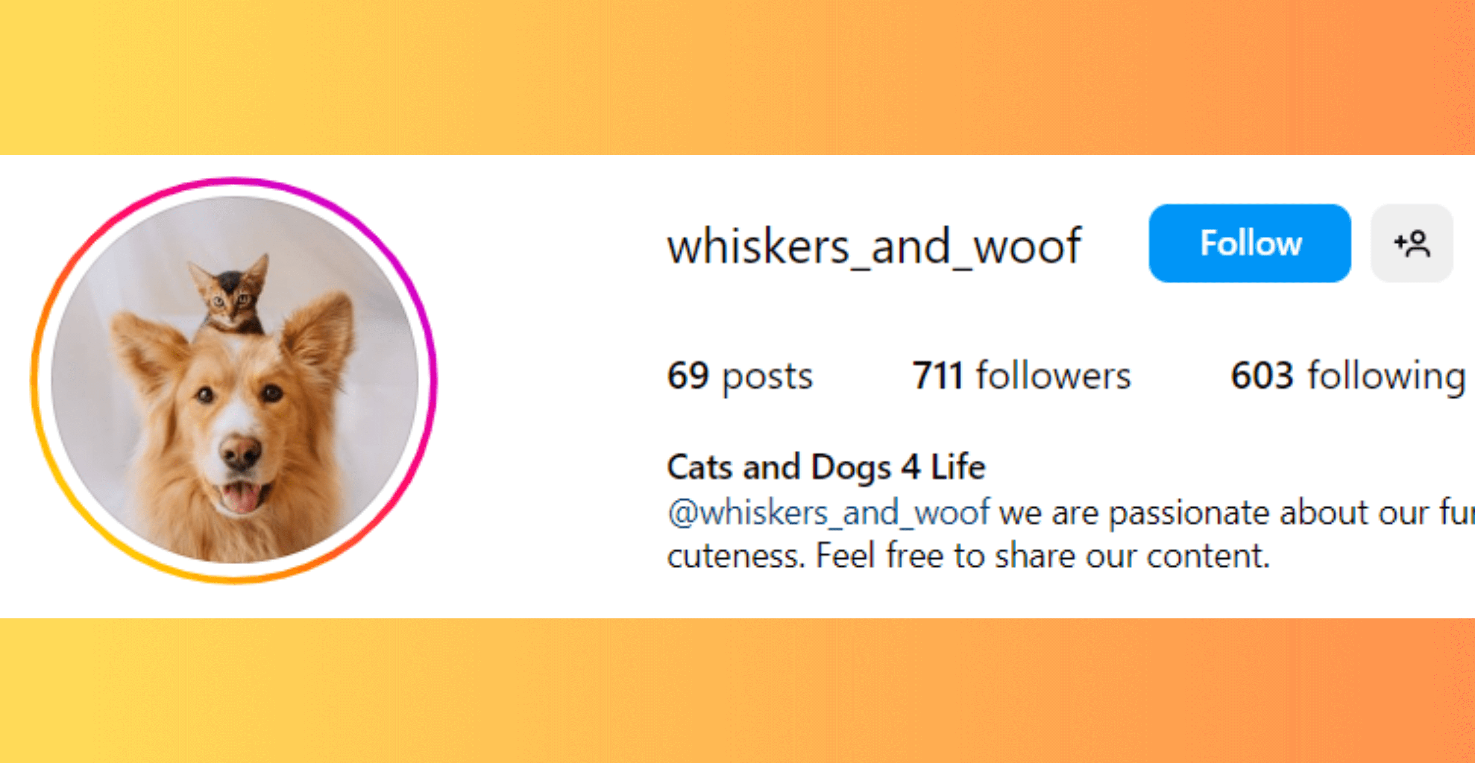 190+ Instagram Username Ideas to Make Your Profile Stand Out