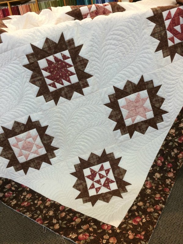 Pink/Brown Queen Size Quilt Kit