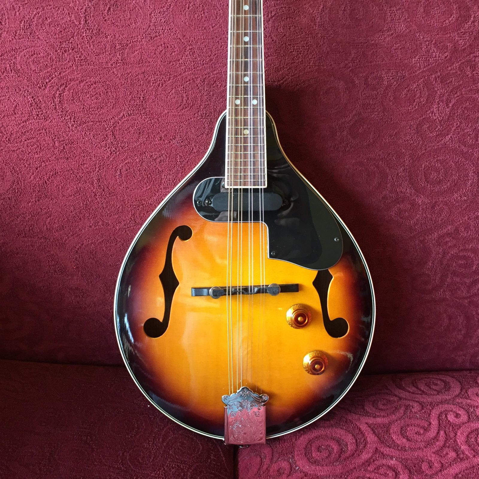 Mandolins