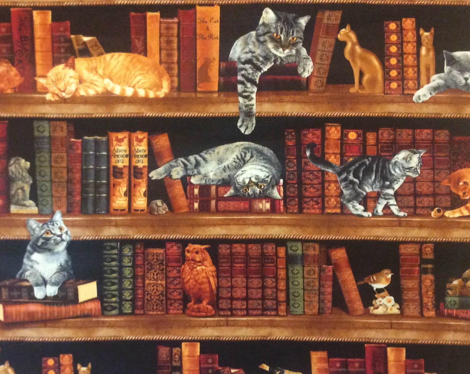 NT09 Library Cat Lover Books Knowledge Kitten Bird Read Quilting Cotton