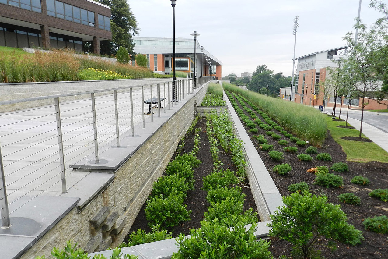 SECU Arena at Towson University Site Resources