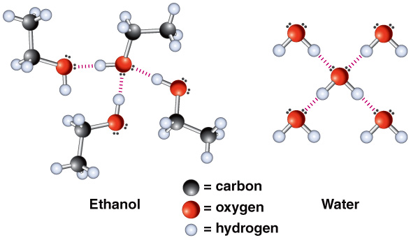 Content Ethanol Vaporizes to a Gas in the Lungs The Alcohol