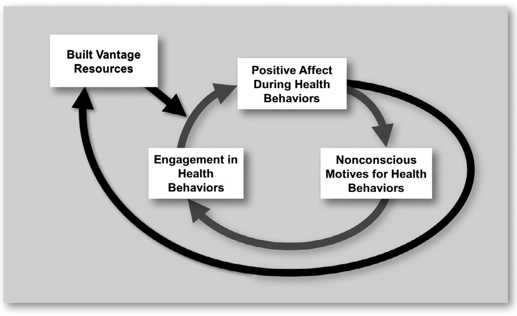 Positive Emotions, Meditation, Behavior Maintenance BABLab