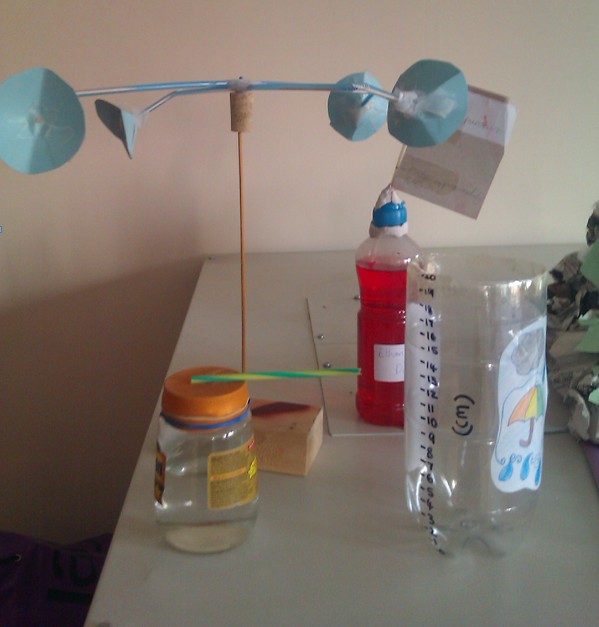 Weather Stations Teaching the Science and Technology Standard Beyond