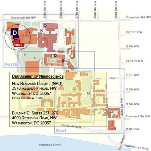 Directions Department of Neuroscience University
