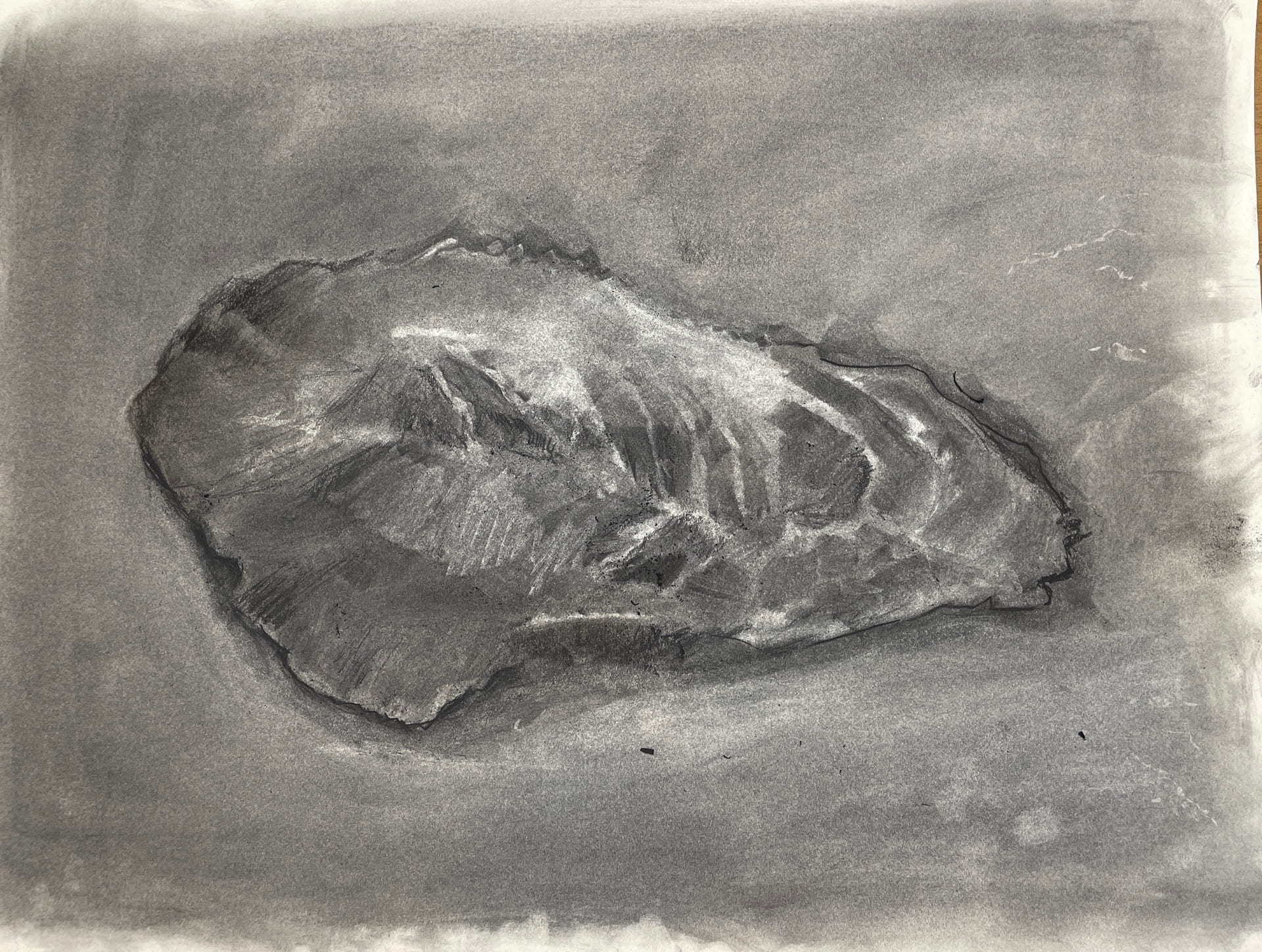 Reductive Drawing Lisa Alembik