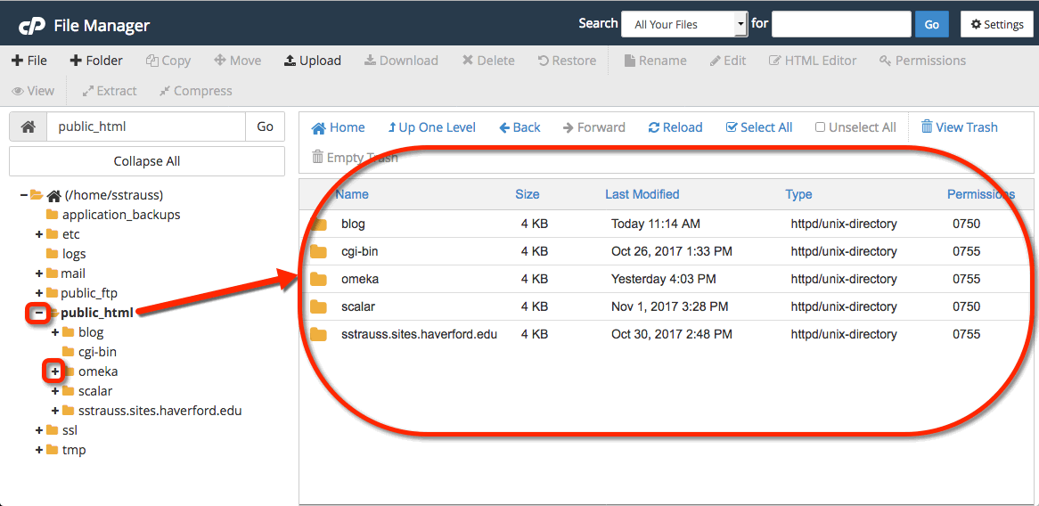 Accessing Your Files through the File Manager Haverford Sites